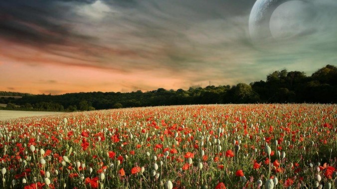 我的世界怎么租一个四个人的服务器?